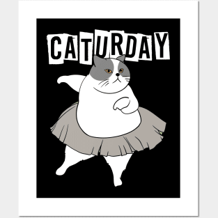 Dancing Cat Posters and Art